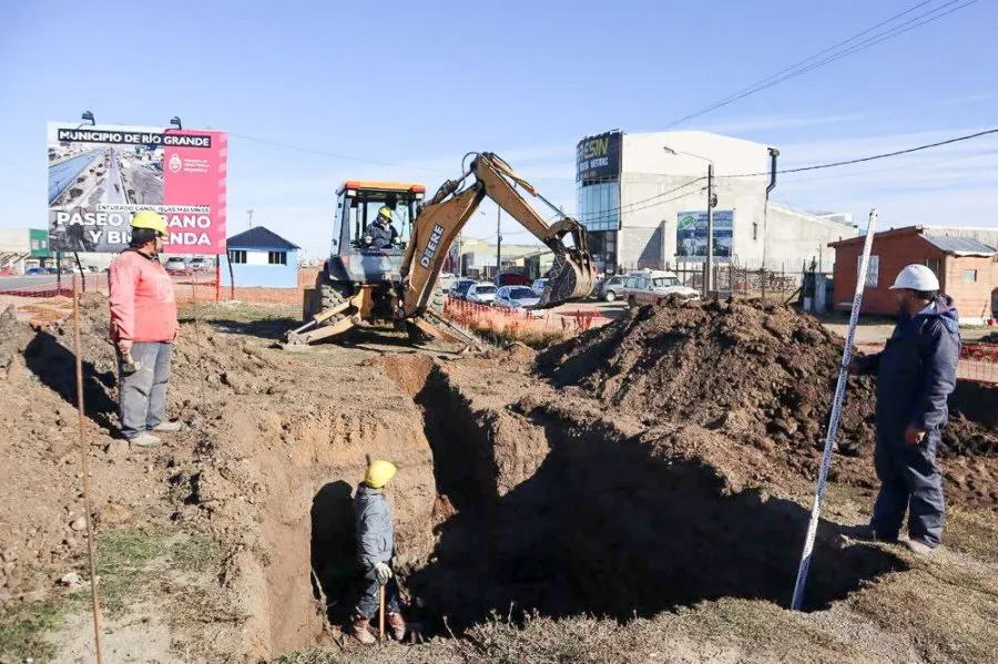 columna 25_10_2024 2