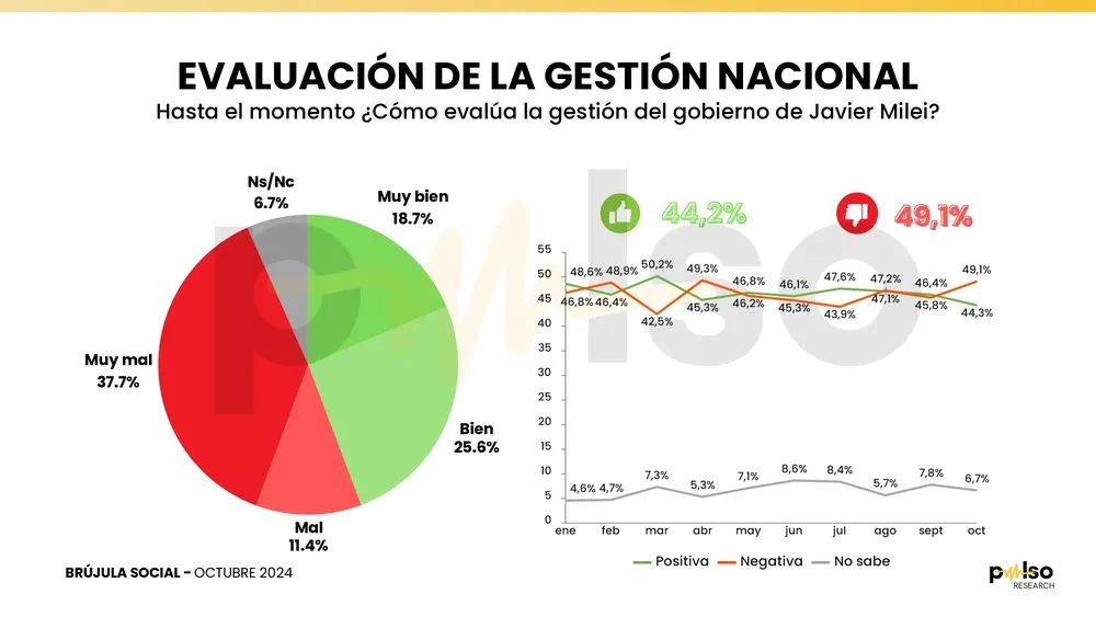 Encuesta Nacional PULSO  Octubre 2024 short.pdf_page-0007