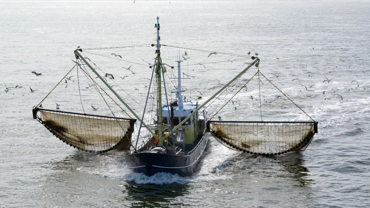 trawling-boat. American Oceans