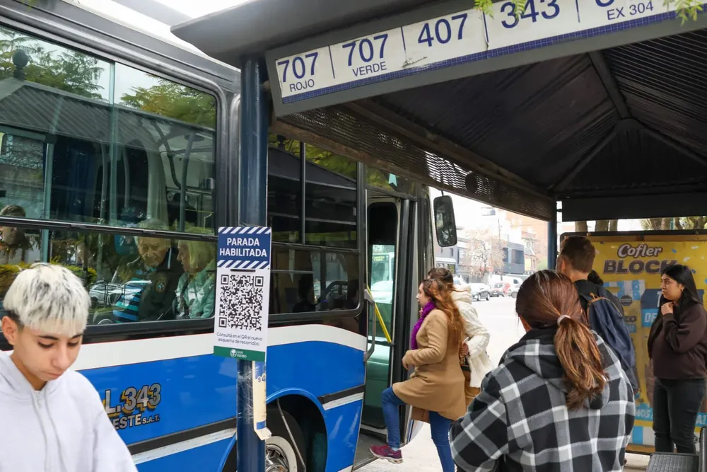 colectivo_1