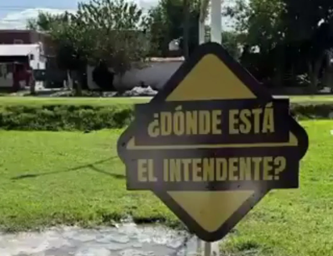 Screenshot_20260410_090748_Gallery