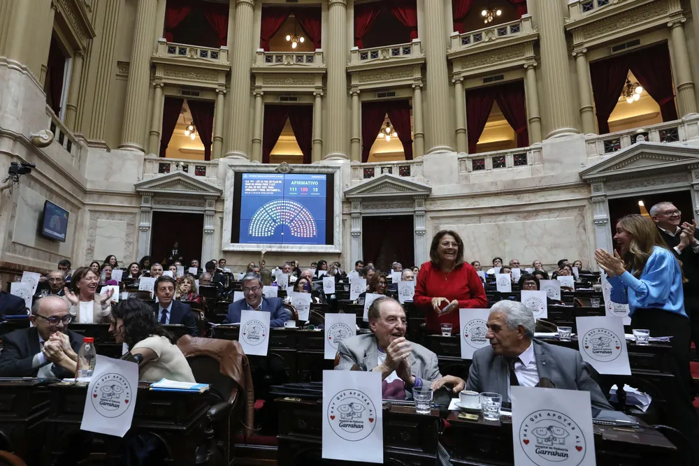 Diputados aprobó temas incómodos para Milei, quien ratificó su intención de veto