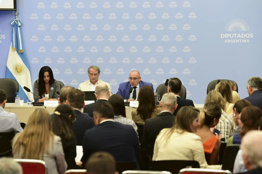 Audiencias Públicas en Diputados