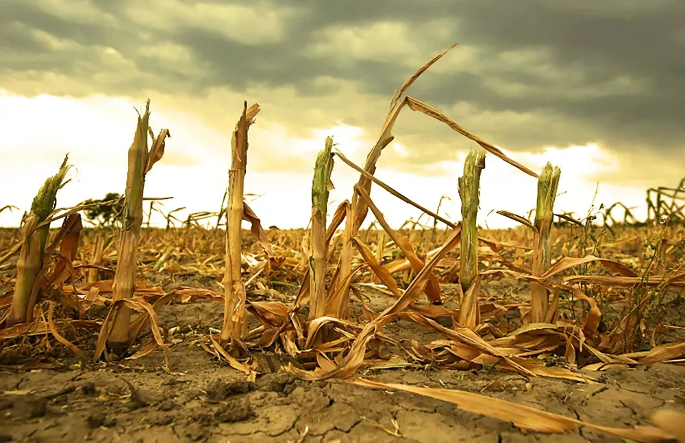 FDBHVHK7XJGRZLDI7NQFRWSPNU