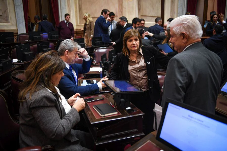 Patricia Bullrich en el recinto antes de comunicar la postergación del debate