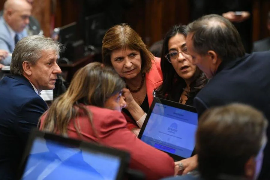 Senado Patricia Bullrich