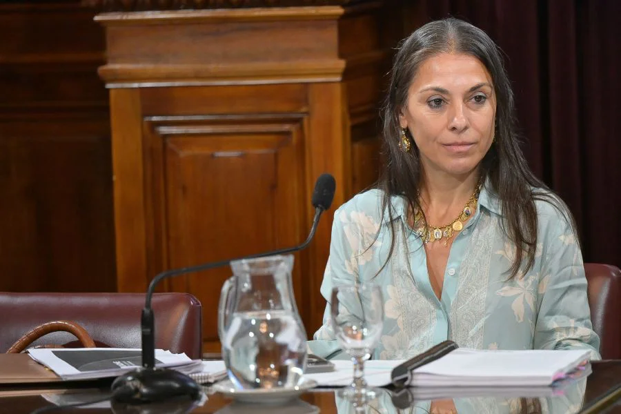 Lucila Crexell defendiendo su pliego en la audiencia pública del Senado