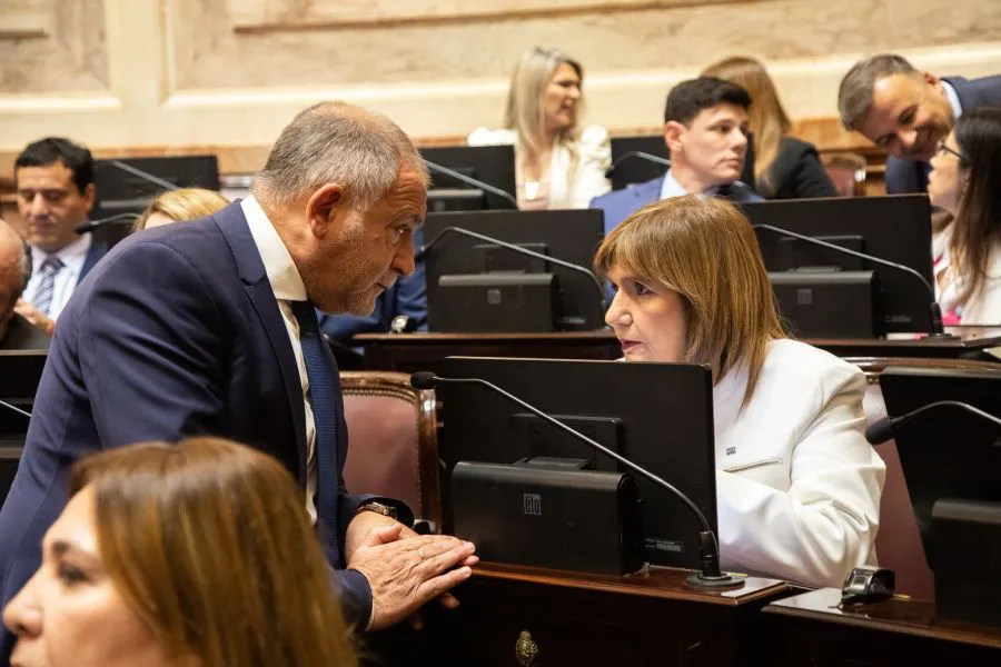 Patricia Bullrich y Luis Juez Senado de la Nación