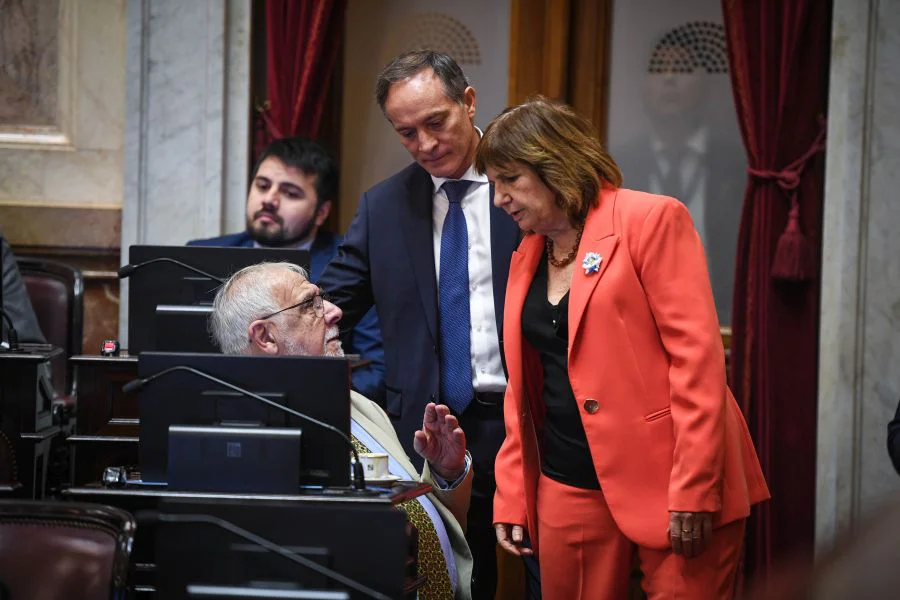 Patricia Bullrich y Juan Carlos Pagotto en el recinto